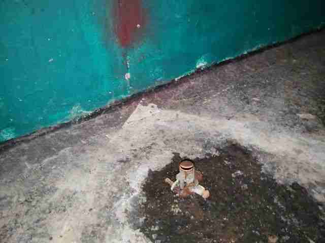 Testing again(41).jpg